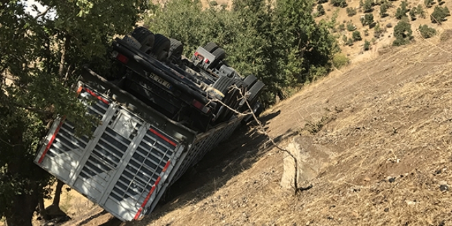 Uçuruma yuvarlanan üç kişiyi ağaç kurtardı