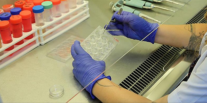 Demir eksikliği kanserin belirtisi olabilir