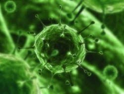 Virüs ve bakterilerin yol açtığı hastalıklar kansere dönüşebilir