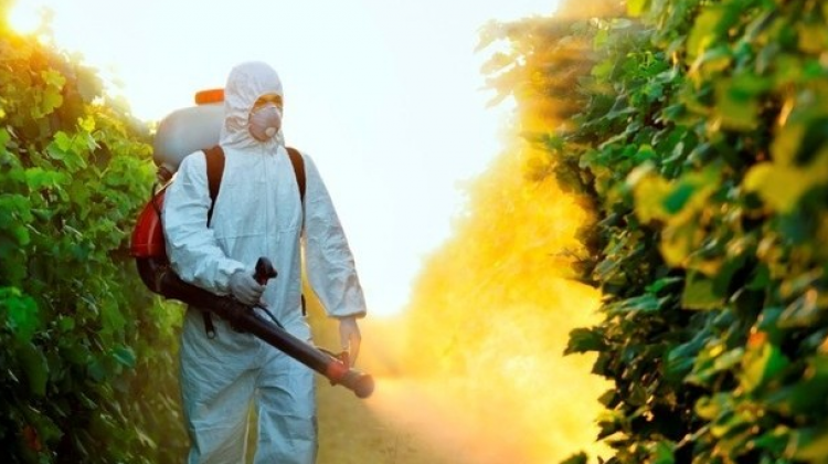 'Ufak Tefek Cinayetler'in "pestisit"i hangi besinlerde bulunur?