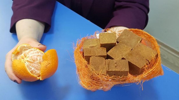 Türk doktor mandalina kabuğundan tablet üretti