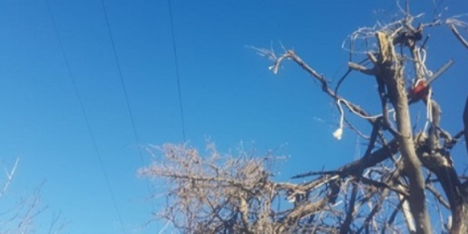 İmam ağaç budarken akıma kapılıp öldü