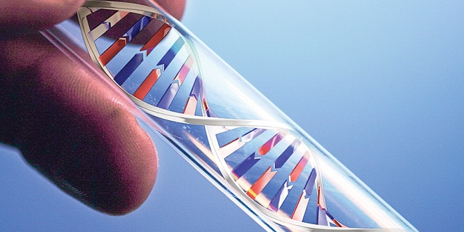 Herkese bir genetik danışman