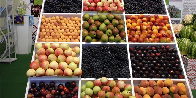 'Meyvenin şekilsiz ve kurtlu olanını tüketin'