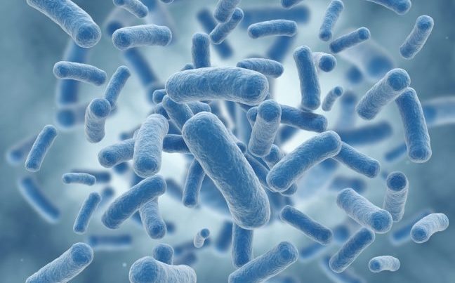 Sağlık Bilimleri Üniversitesinde kişiye özel üretilen probiyotiklerle bağırsak florası yeniden düzenleniyor