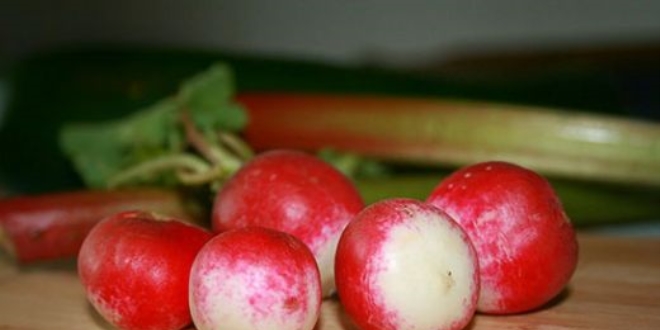 Karatay: Turp yiyin turp gibi olun