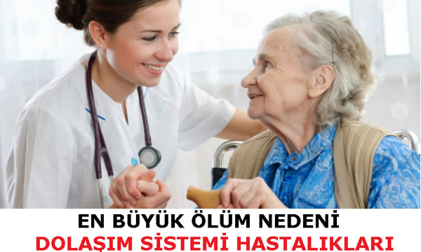 En büyük ölüm sebebi dolaşım sistemi hastalıkları