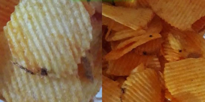 Cips paketinin içinden böcek çıktı