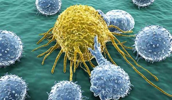 Nadir kanserlerde, tümörlü hücrelerdeki büyüme durdurulabilecek