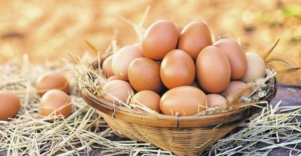 Sağlık Bakanlığı'ndan yumurta uyarısı