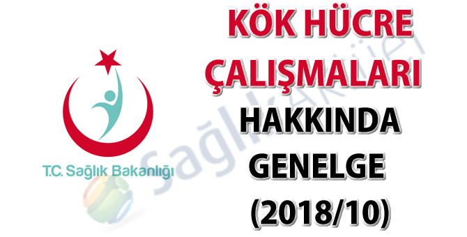 Kök Hücre Çalışmaları Hakkında Genelge (2018/10)