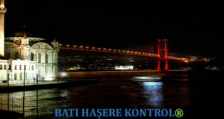 İstanbul’un Büyük Dertlerinden Birisi: Haşere Mücadelesi