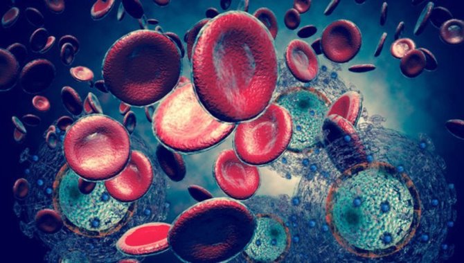 Lösemi ve lenfomada 'yerli tedavi' metodu geliştiriliyor!