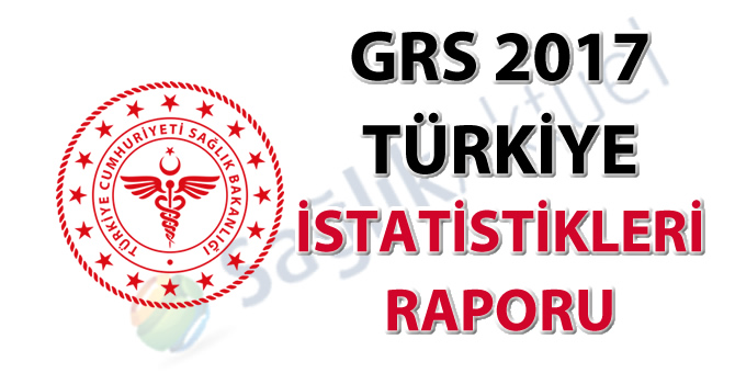 GRS 2017 Türkiye İstatistikleri Raporu yayınlandı