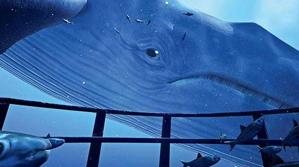 Uyarı geldi! Geç olmadan mutlaka kontrol edin...