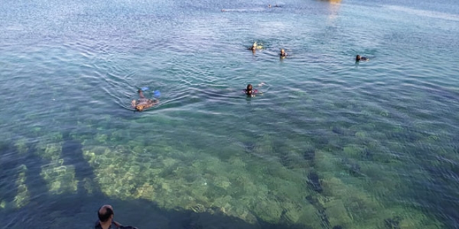 Datça'da denizden 1,5 ton çöp çıkartıldı