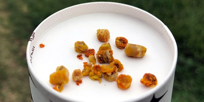 Arı ekmeği, sentetik vitaminlerin yerini almaya başladı