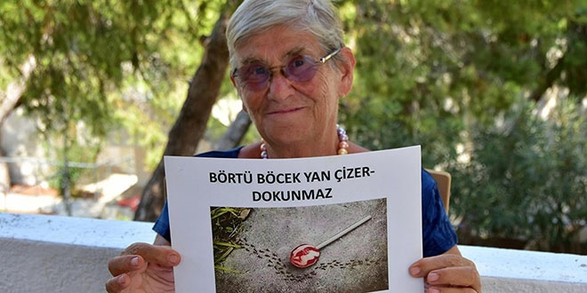 Canan Karatay: Enerji içecekleri erken ölüme yol açıyor