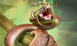 Tatiliniz ‘Zehir’ Olmasın