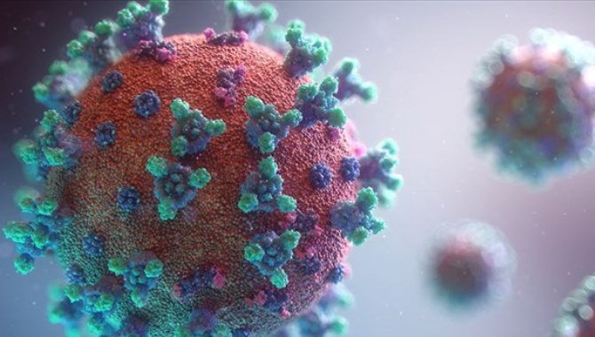 Mutasyon virüs Kanada'ya da sıçradı