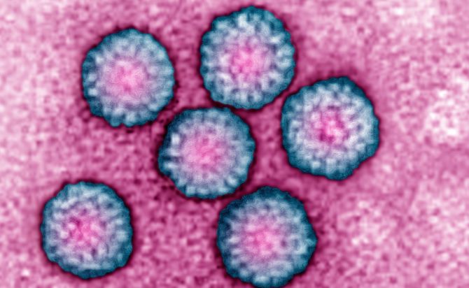 HPV Nedir? Tedavisi, Nedenleri