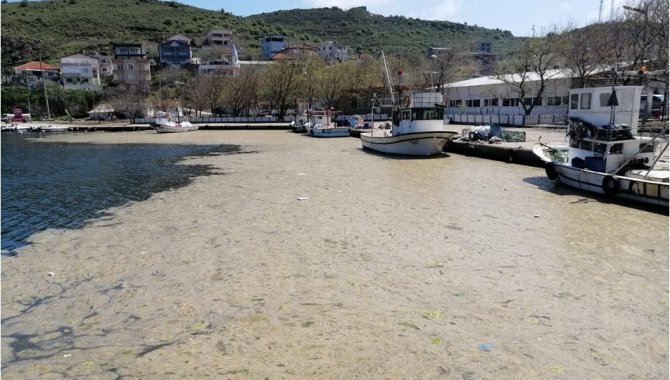 TÜBA Müsilaj Değerlendirme Raporu açıklandı: