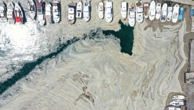 Uzmanlar, müsilajın insan sağlığına etkisini değerlendirdi