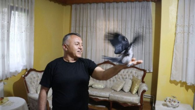 Denizlili sağlık memuru Mehmet Çolak sokakta yaralı bulduğu kargayı evinde tedavi etti