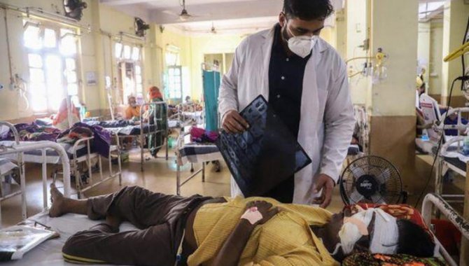 Arjantin'de kara mantar hastalığı tespit edildi