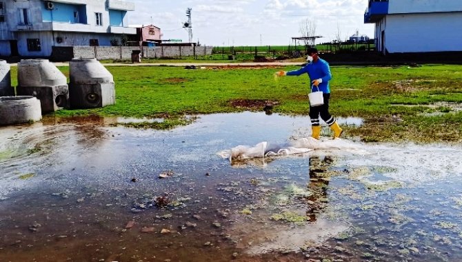 Mardin'de haşereyle mücadele için ilaçlama çalışması sürüyor