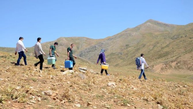 Bitlis'te sağlık ekipleri yaylaları dolaşarak göçerlerin aşılarını yapıyor
