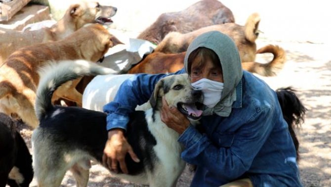 Zonguldak'ta 62 yaşındaki kadın hayatını sokak köpeklerine adadı