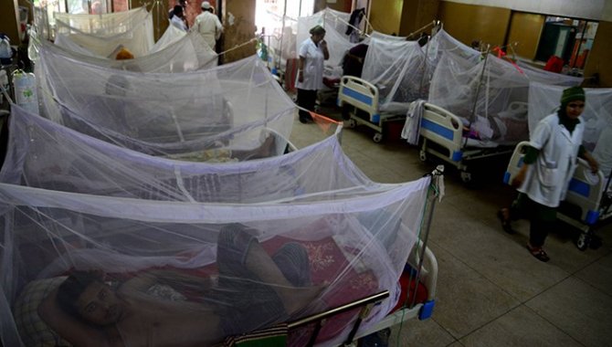 Bangladeş'te bu yıl tespit edilen dang humması vaka sayısı 726'ya yükseldi