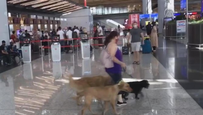 İstanbul Havalimanı'nda ücretsiz evcil hayvan odası 24 saat hizmet veriyor