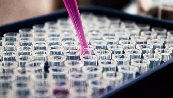 Endonezyalıların neredeyse tamamı Kovid-19'a karşı antikor geliştirdi