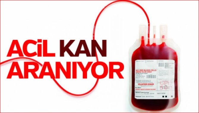 Acil Kan Aranıyor !