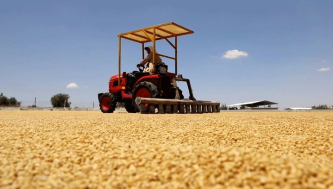 Gaziantep'in "doğal bulguru"na ilgi artıyor