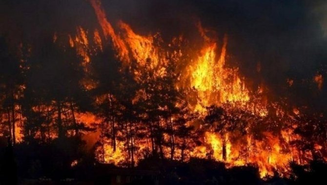 Antalya'daki orman yangınlarından etkilenen 10 kişinin tedavisi sürüyor