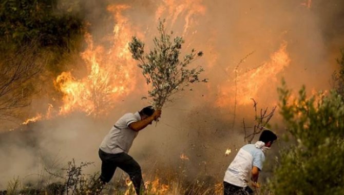 Orman yangınları turizmle ilgili sivil toplum kuruluşlarının da gündeminde