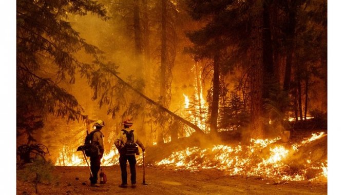 İklim krizi yangınların söndürülmesini zorlaştırıyor