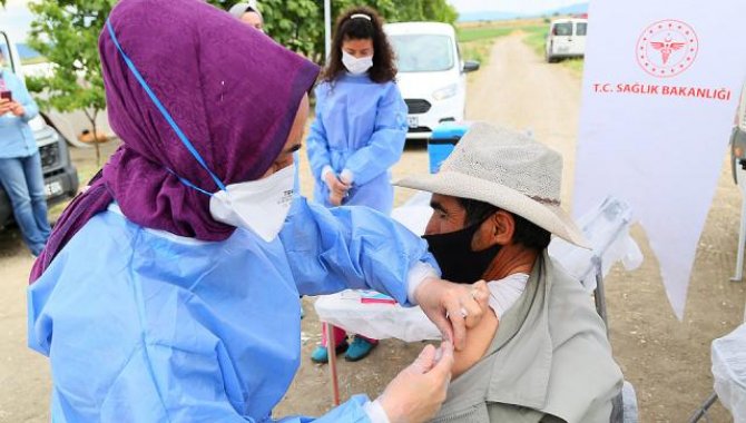 Bursa Karacabey Ovası'nda hasat yapan işçilere Kovid-19 aşıları tarlada yapıldı