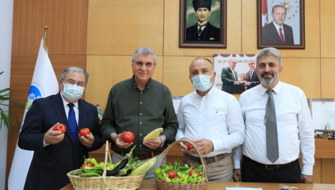 Sakarya Büyükşehir Belediyesinin yetiştirdiği ata tohumları ilk mahsullerini verdi