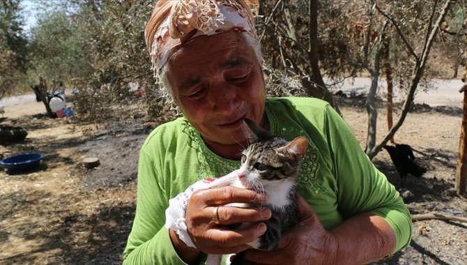 Orman yangınından son anda kurtulan yaşlı çift, tedavi edilen kedilerine kavuştu