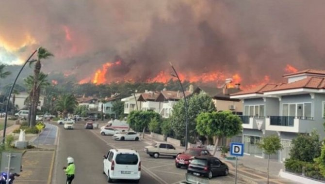 Orman Yangınları Hava Kirliliği Raporu Açıklandı !