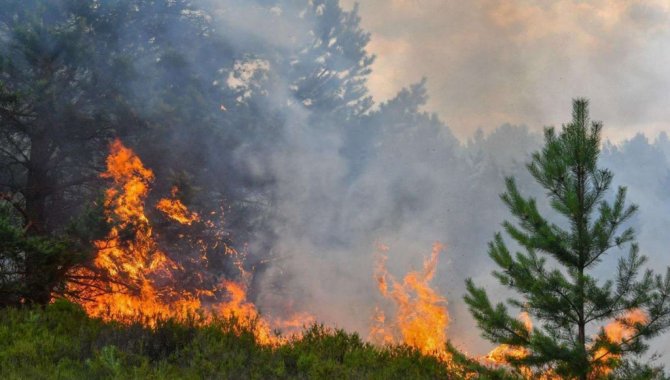 “Salgında Olduğu Gibi Yangında da Yönetememe Sorunu Var”