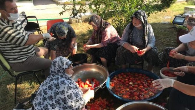 Edirne'de huzurevi sakinleri ektikleri domateslerin hasadını gerçekleştirip kışlık salçalarını yaptılar