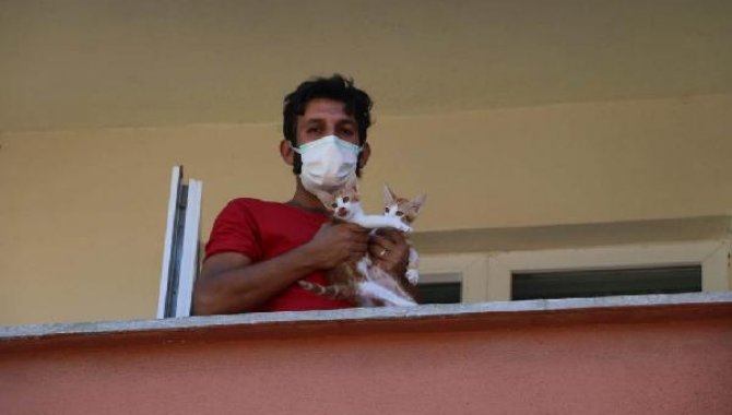 Kartal Belediyesi ekipleri, Kastamonu'daki sel felaketinde mahsur kalan kedileri kurtardı