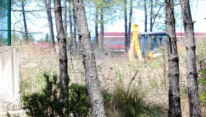 Veterinerler, üstü kapatılmadan bekletilen ölü hayvanların sağlık için oluşturduğu tehdide dikkati çekti
