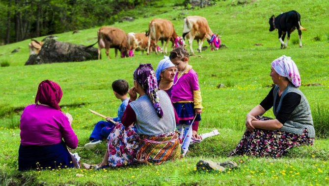 Karadeniz yaylalarında kadınlar kışa hazırlık için çayır biçiyor