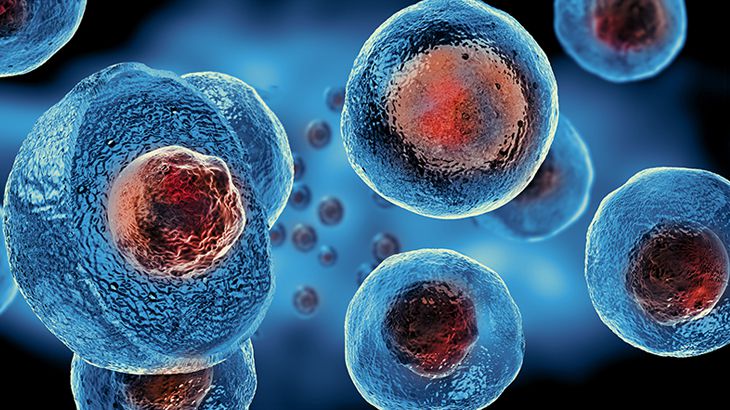 Ondokuz Mayıs Üniversitesinde 100. kök hücre nakli başarıyla gerçekleşti